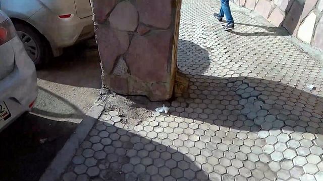 Тратуарные кирпичи вылезли Уфа Кирова 99/3 смотреть онлайн