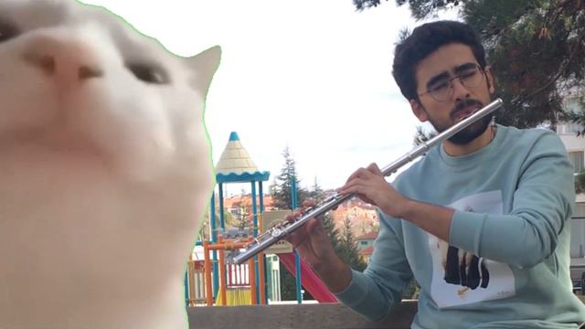 Cat Vibing To Ievan Polkka on FLUTE | Cat Vibing Meme смотреть онлайн