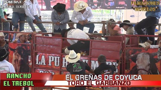 HOMENAJE A GABRIEL TORRES PARTE DOS EL JARIPEO смотреть онлайн