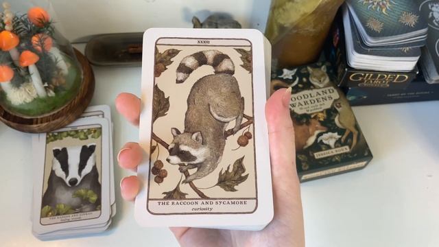 Woodland Wardens - Jessica Roux ? Oracle Deck Review ! смотреть онлайн