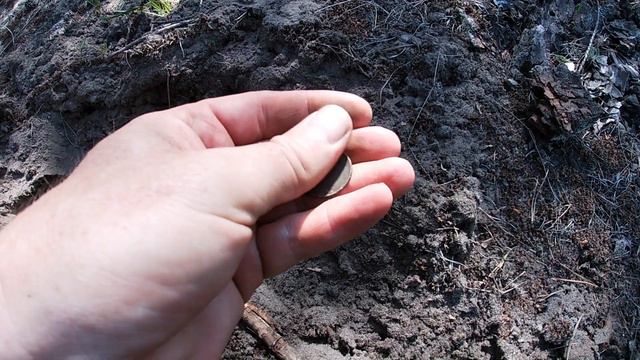 Коп в лесу 13.06 - нашел находку, но не нашел никакой информации о ней... #Поисксметаллоискателем смотреть онлайн