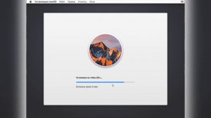 Кaк установить MacOS на VMware Workstation? (2024)