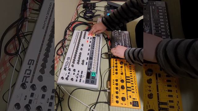 BEHRINGER TD-3-MO TD-3 RD-9 JAM023 #techno #acid #behringer #td #rd смотреть онлайн