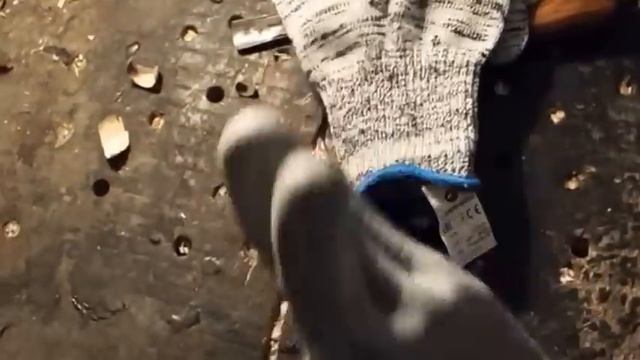 Защита рук от порезов. Противопорезные перчатки  Sizamika 655 и SIZ5. Обзор и тестирование