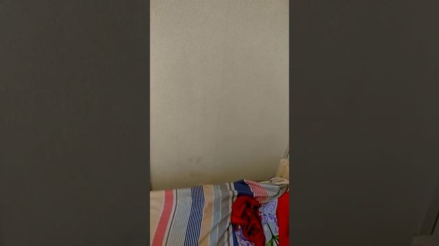 Как скрыть дырки в стене от болтов за 5 минут бесплатно смотреть онлайн