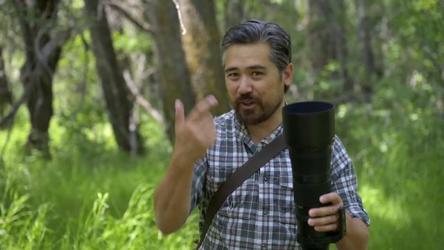 Nikon Z 180-600mm f/5.6-6.3 VR Initial Review: Nikon's BEST Wildlife Lens?! смотреть онлайн