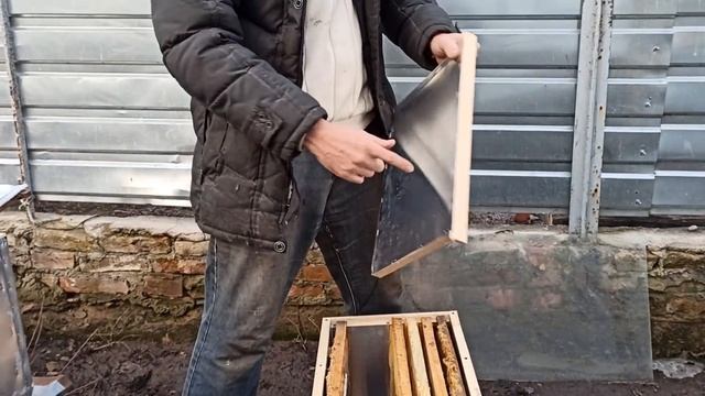 Пчелаводство облет пчёл весной. Что нужно делать пчеловоду после облета пчел на пасеке смотреть онлайн