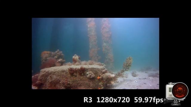 Camera Comparison GoPro vs 3 underwater focus fixes and filter test смотреть онлайн