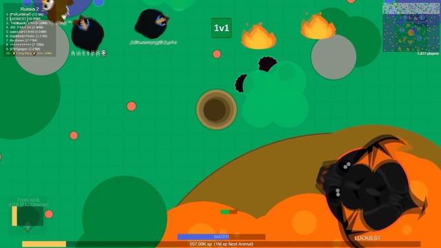 Mope.io MOST INCREDIBLE STUNTS OF CASSOWARY | REMARKABLE MOMENTS смотреть онлайн