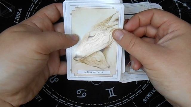 Обзор колоды "Оракул Белого Света / White Light Oracle". смотреть онлайн
