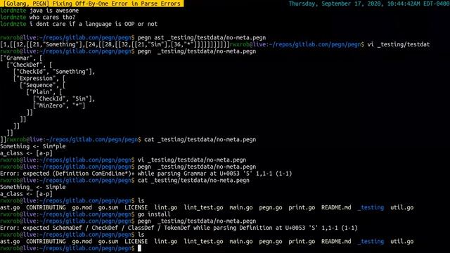 [Golang, PEGN] Fixing Off-By-One Error in Parse Errors смотреть онлайн