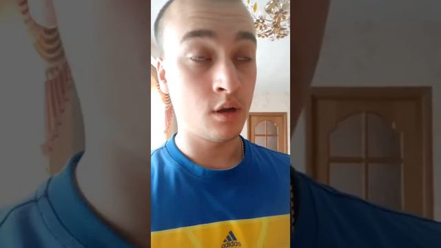 сборник вайнов за август 2019 часть 1 смотреть онлайн