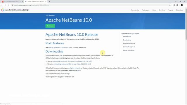 How To Install NetBeans 11 IDE And Java JDK On Windows 10 смотреть онлайн
