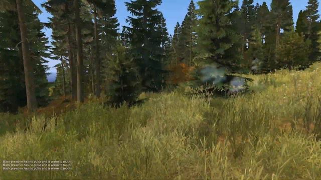 DayZ от первого лица - Командные замесы смотреть онлайн