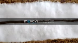 киндер пингви rytp