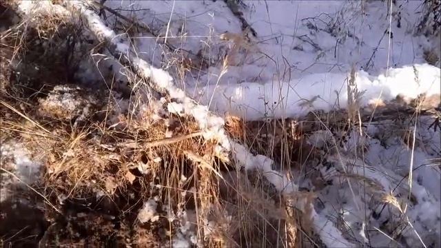 #металлокоп ДЕКАБРЬСКАЯ ВЫЛАЗКА смотреть онлайн