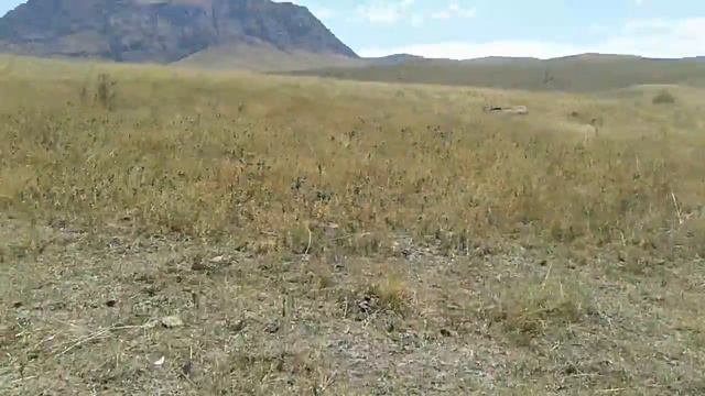 Боралдай. Петроглифы Южный Казахстан смотреть онлайн