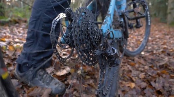 How To Use Walk Mode On An E MTB | Electric Bike Walk Assist Explained