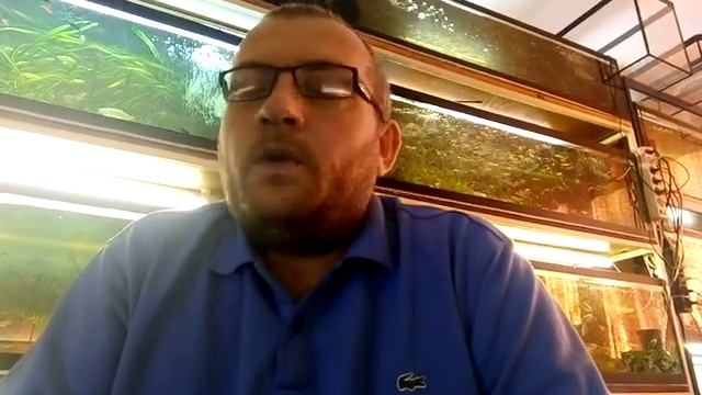 #Аквариумистика#Поговорим#О#Суматранских Барбусов# смотреть онлайн