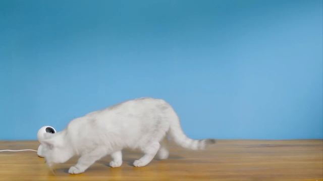 Xiaomi Pet Water Fountain смотреть онлайн