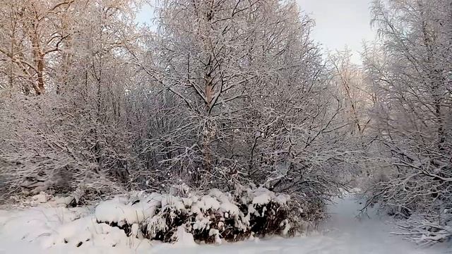 Трещит карельский мороз.Karelian Frost Is Cracking.