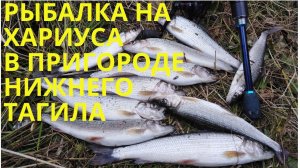 ЛОВЛЯ ХАРИУСА НА МАЛОЙ РЕКЕ В ОКРЕСТНОСТЯХ НИЖНЕГО ТАГИЛА. РЫБАЛКА НА СПИННИНГ И УДОЧКУ ОСЕНЬ 2020