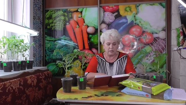 Праздничный розыгрыш моих семян и грунта от фирмы "БИОМАСТЕР"! Ольга Чернова. смотреть онлайн