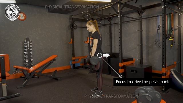 Dumbbell Romanian Deadlift ( Румынская с гантелями )