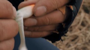 Вот это ЖОР. Ловля жереха весной. Спиннинг с берега.