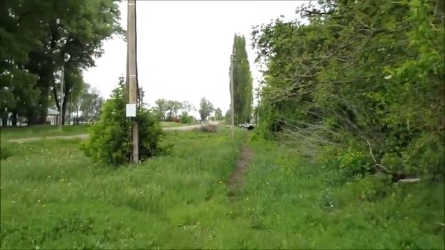 Где эта улица? видео акция смотреть онлайн