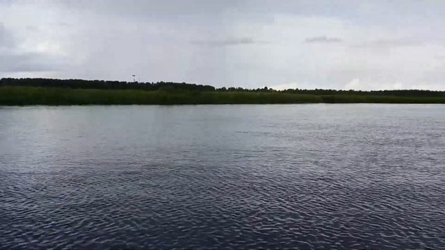 Устье Северной Двины. Остров Ягры. смотреть онлайн