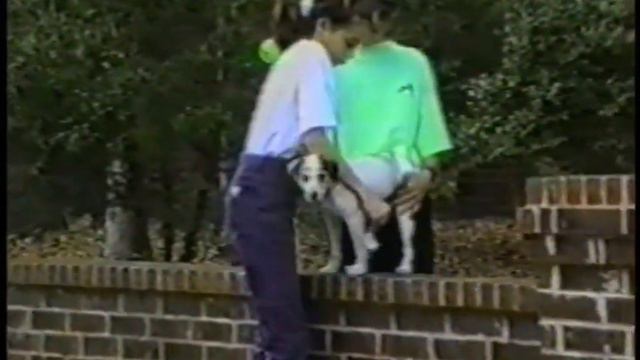 The Funniest of the Planet's Funniest Animals: Disc 3 смотреть онлайн