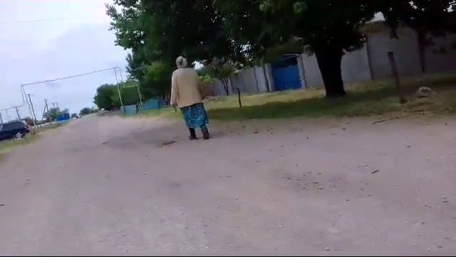Подбросили щенков😯 смотреть онлайн