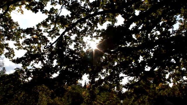 Прогулка в Михайловском Сентябрь 2019 смотреть онлайн