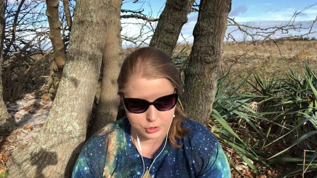 Shamanic Healing Oracle Review + Reading смотреть онлайн