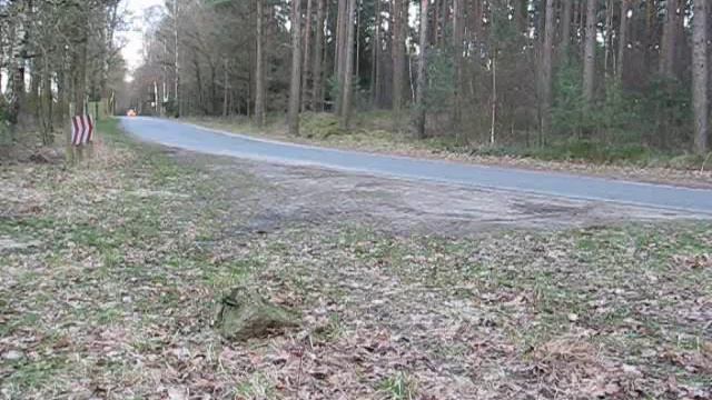 Renault Clio RS, Sound 11 смотреть онлайн