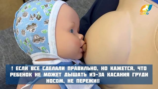 Основные правила прикладывания ребенка к груди при кормлении смотреть онлайн