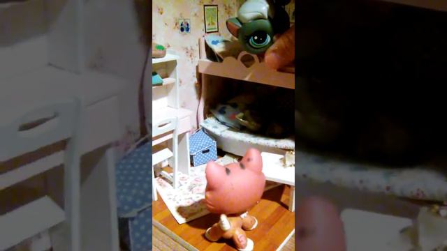 Жизнь Анастасий 1 серея смотреть онлайн