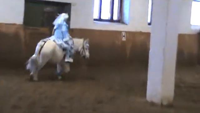 Ксюша на Лазанье - 20.12.09 lai.ucoz.ru - КСК Генетика смотреть онлайн