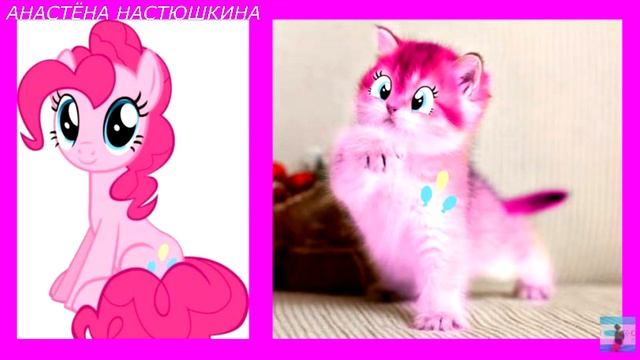 Pinkie Pie в виде Животных , Птиц, Насекомых... В Реальной жизни !