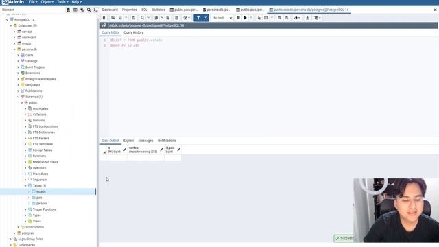 INSERTAR MULTIPLES REGISTROS / DATOS EN POSTGRESQL смотреть онлайн