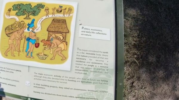 Exploring the Ancient Mayan City of Tulum, Mexico