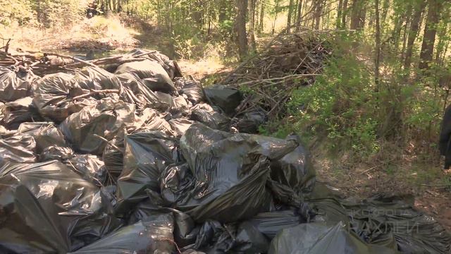 Озеро Арахлей. Экотропа. смотреть онлайн