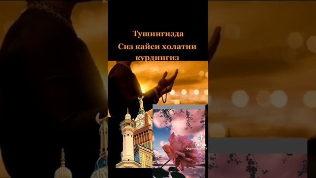 8 октября 2022 г.