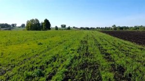 Фреза или плуг? Что лучше?