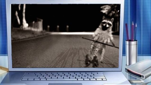 Сheerful cancan. Весёлый канкан смотреть онлайн