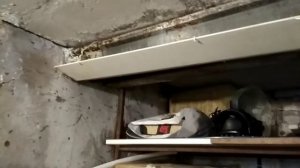 Протекает крыша в гараже