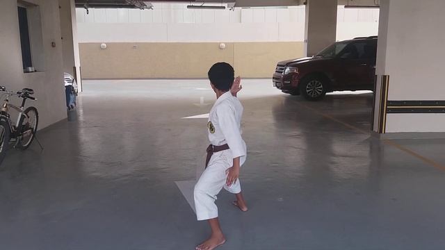 sparkies vlog - 24...... karate katha seisan смотреть онлайн