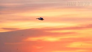 Плоская Земля - Скрываемая Правда (Эрик Дубэй)