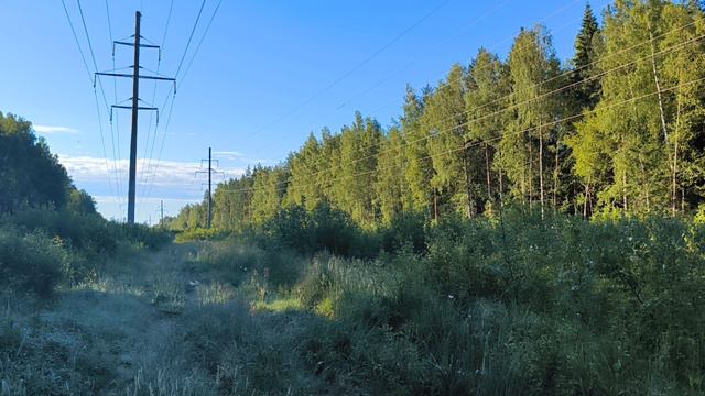 ЛЭП. ч.4. Июнь 2024 смотреть онлайн